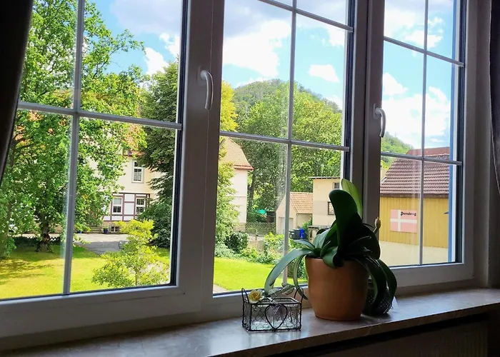 Hirsch Brocken - Parkplatz - Zentral Appartement Bad Harzburg